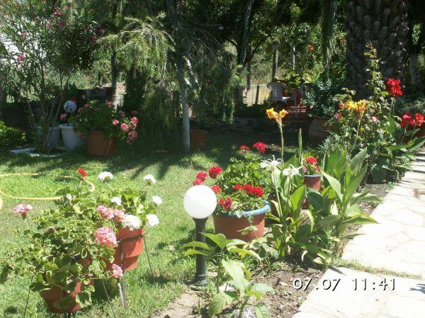 House Souzanna